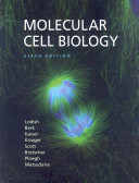 Molecular Cell Biology
