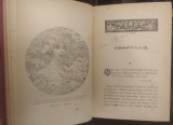 Αμαρυλλίς μαζί με ιστορία ενός απόρου νέου