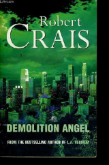 Demolition Angel