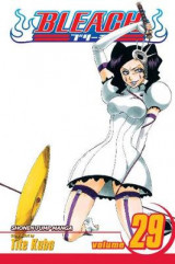 Bleach, Vol. 29 v. 29