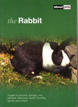 The Rabbit