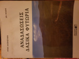 Αναδασώσεις, δασικά φυτώρια