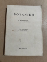Βοτανική 1. Μορφολογία