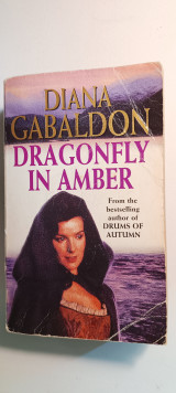 Dragonfly in amber