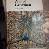 Animal Behaviour