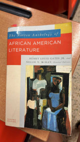 The norton anthology of african american literature