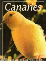Vintage Βιβλίο "Canaries" (1984) – Paul Paradise (Με τις 3 Αφίσες)