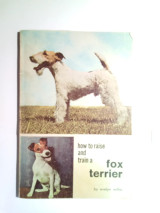 How to raise and train a fox terrier