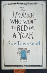 The Woman who Went to Bed for a Year