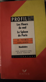 Profil d'un oeuvre les fleurs du mal. Le Spleen de Paris