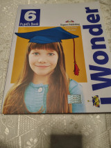 I Wonder 1 Pupil's Book