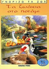 ΤΑ ΖΩΑΚΙΑ ΣΤΟ ΠΟΤΑΜΙ