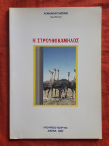 Η Στρουθοκάμηλος