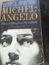 The life of Michelangelo Buonarroti