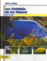 Les Cichlidés du lac Malawi