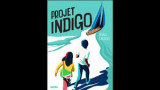 Projet indigo