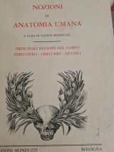 Nozioni di Anatomia Umana
