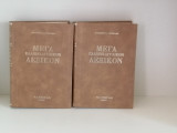 Μέγα ελληνο-αγγλικόν λεξικόν