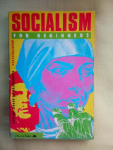 Socialism for Beginners