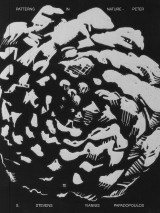 Patterns in Nature, Peter S. Stevens, Yiannis Papadopoulos