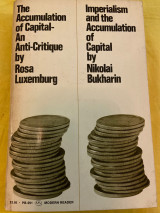 The accumulation of capital - An anti-critique