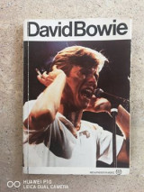 David Bowie