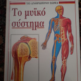 Το ανθρώπινο σώμα. Το μυϊκό σύστημα