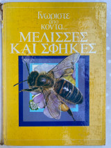 Γνωρίστε από κοντά - μέλισσες και σφήκες