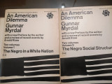 An America dilemma vol 1&2