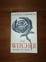 The Witcher Blood of Elves
